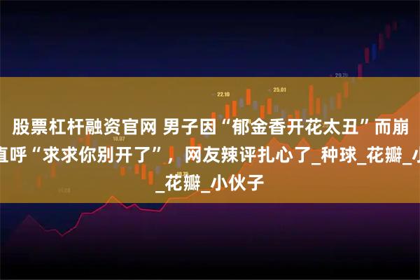 股票杠杆融资官网 男子因“郁金香开花太丑”而崩溃，直呼“求求你别开了”，网友辣评扎心了_种球_花瓣_小伙子
