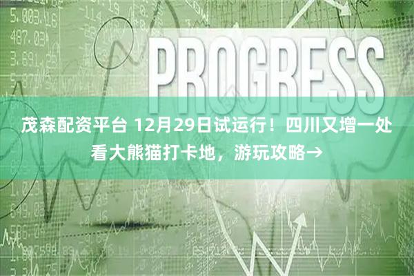 茂森配资平台 12月29日试运行!四川又增一处看大熊猫打卡地,游玩攻略→